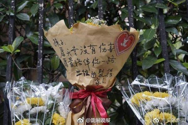 官方：王霄出任青岛红狮俱乐部体育总监兼中方教练组组长